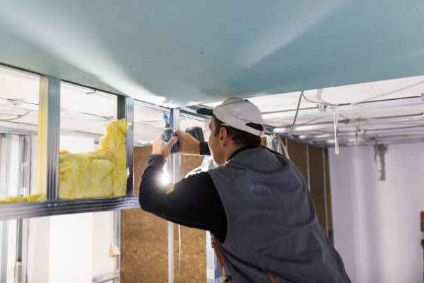 Best Insulation for Specific Applications in Verandah, FL
