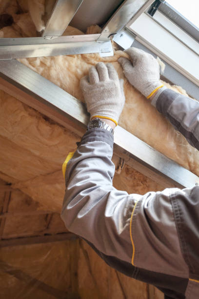 Best Insulation for Specific Applications in Verandah, FL
